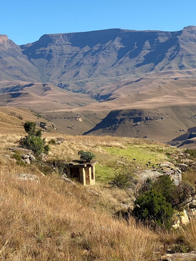 Vulture Hide